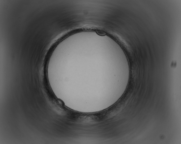 X0000100840488200807180924