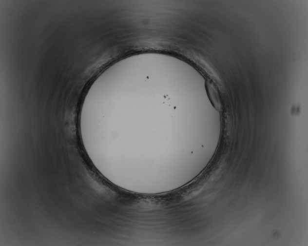 X0000100840489200807180924