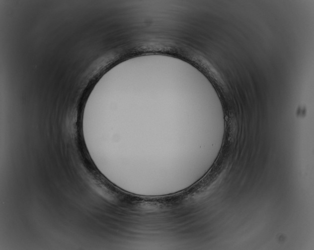 X0000100840490200807180924