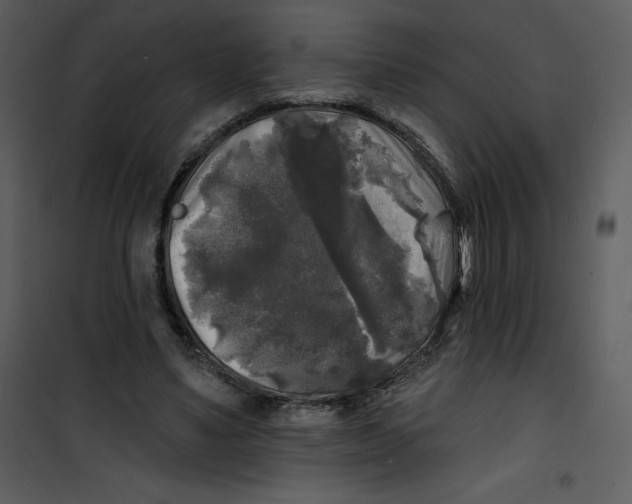 X0000100840491200807180923