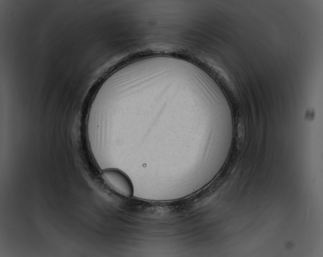 X0000100840492200807180923