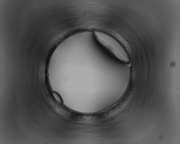 X0000100840493200807180923