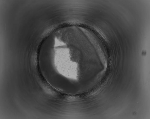 X0000100840494200807180923