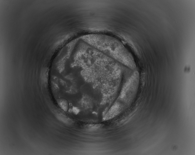 X0000100840495200807180923