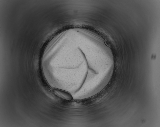 X0000100840496200807180923