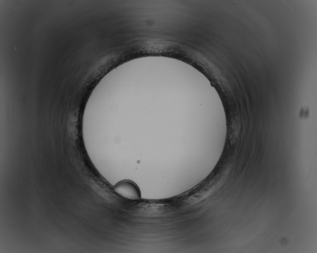 X0000100840497200807180923