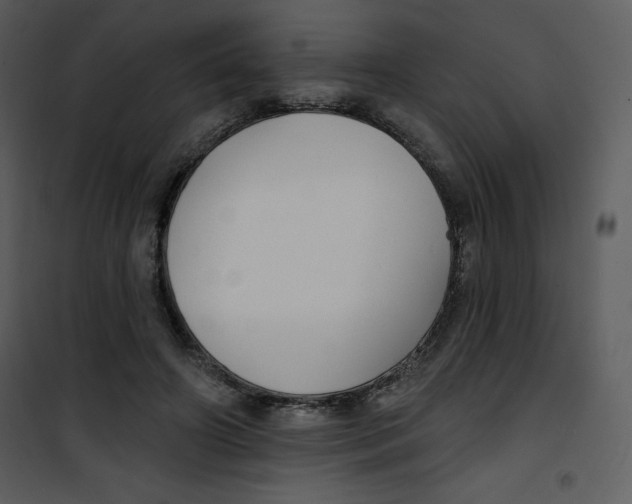 X0000100840498200807180923