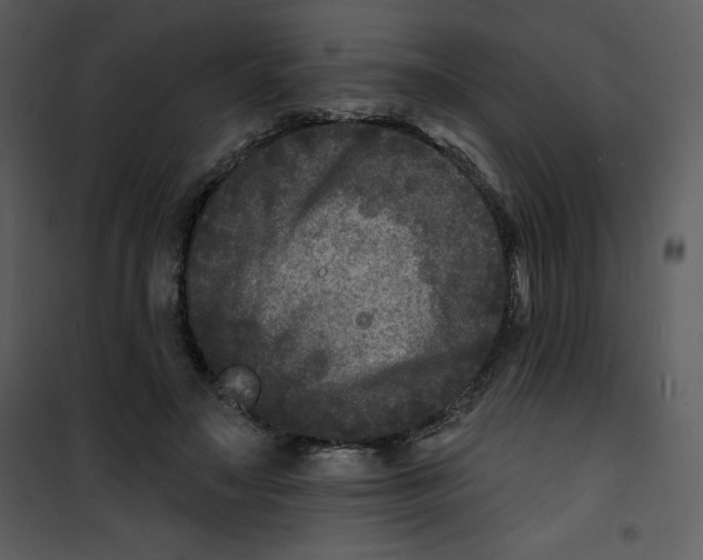 X0000100840499200807180923