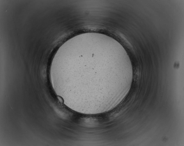 X0000100840500200807180923