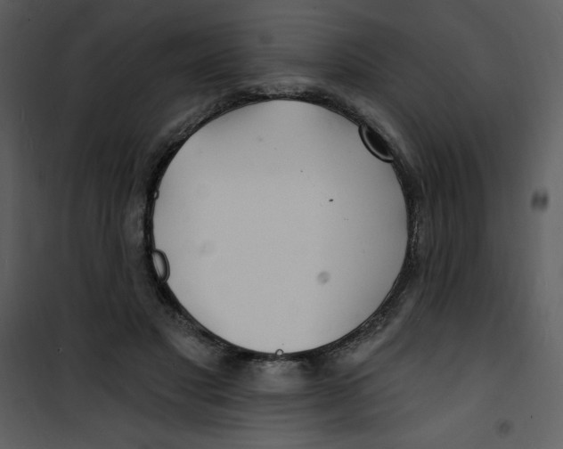 X0000100840501200807180923