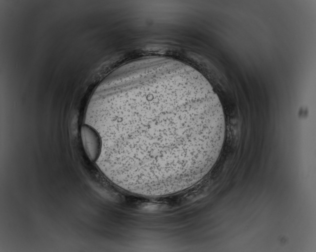 X0000100840504200807180923