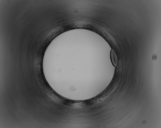 X0000100840505200807180923