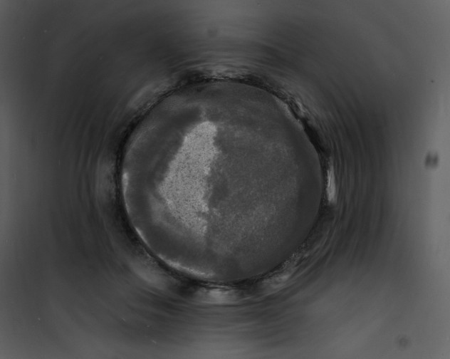 X0000100840506200807180923