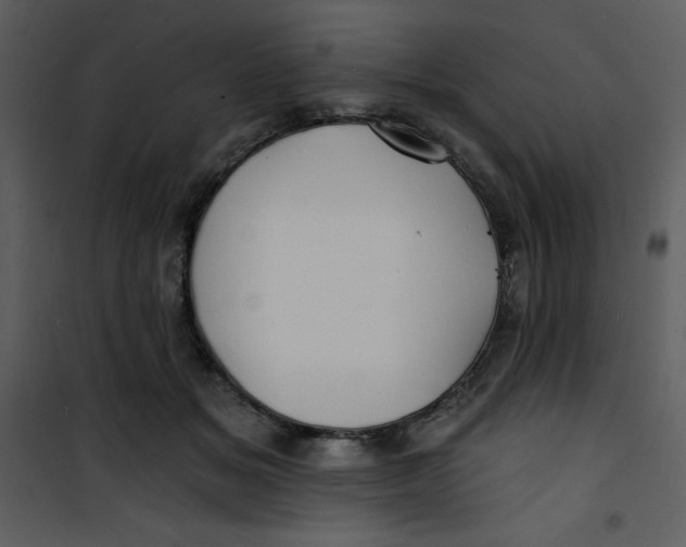 X0000100840509200807180923