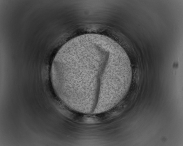 X0000100840510200807180923