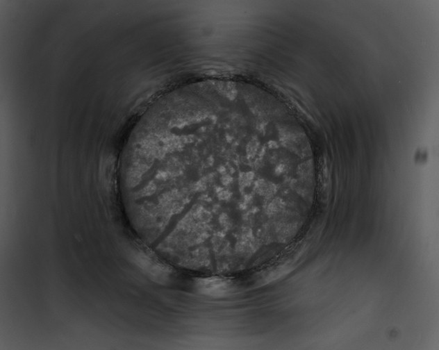 X0000100840511200807180923