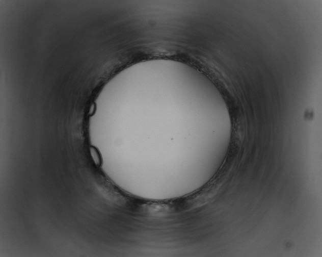 X0000100840512200807180923