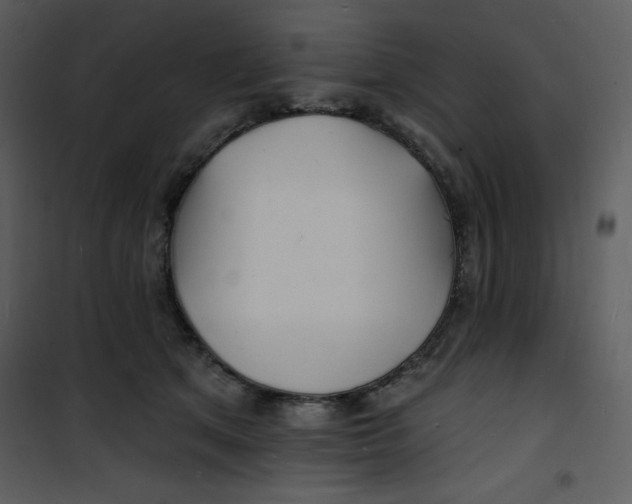 X0000100840513200807180923