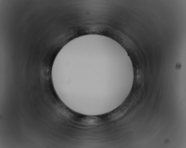 X0000100840514200807180923