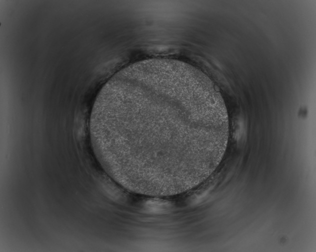 X0000100840515200807180923