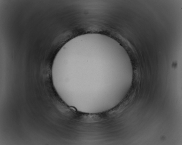 X0000100840517200807180923