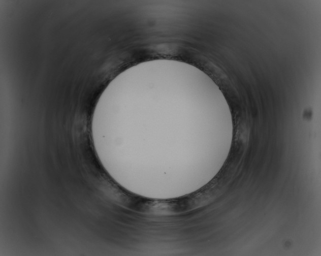 X0000100840518200807180923