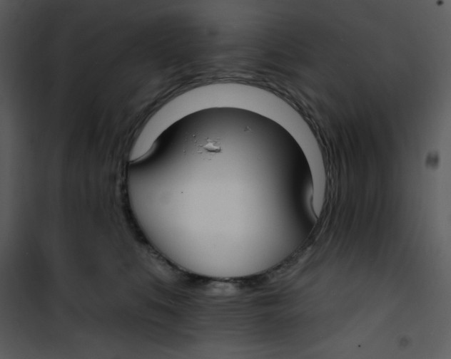 X0000100840519200807180923