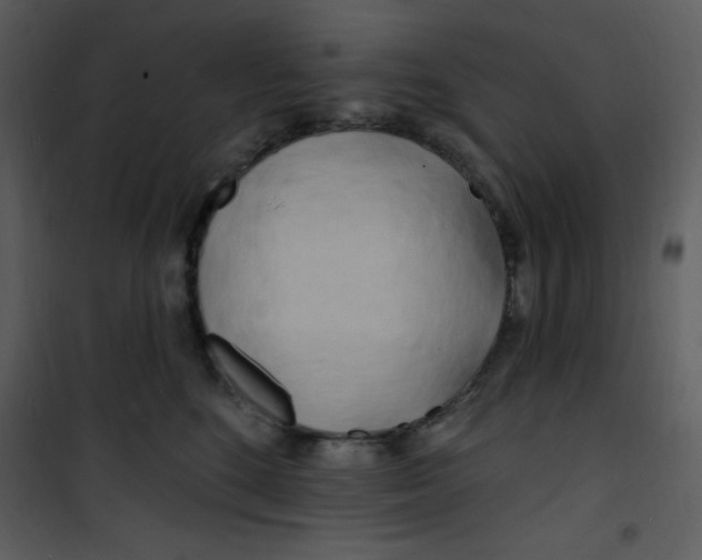 X0000100840520200807180923