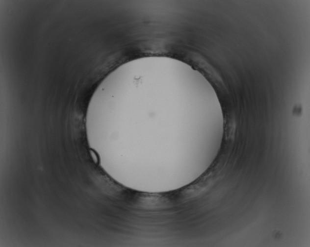 X0000100840521200807180923