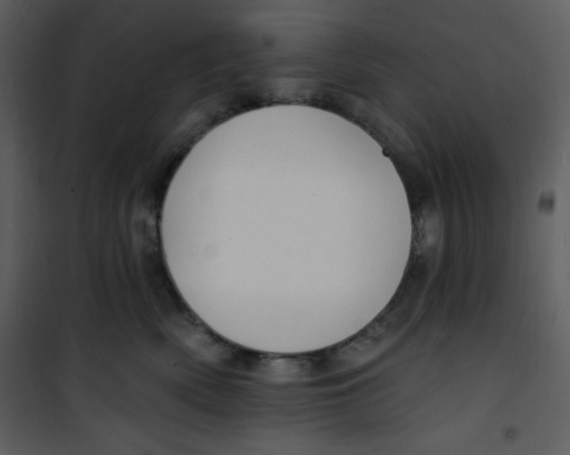 X0000100840522200807180923