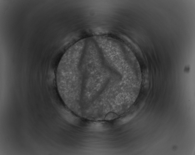 X0000100840523200807180923