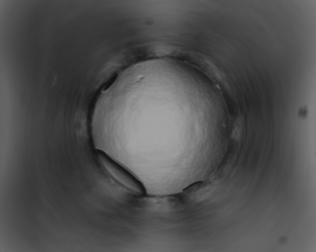 X0000100840524200807180923