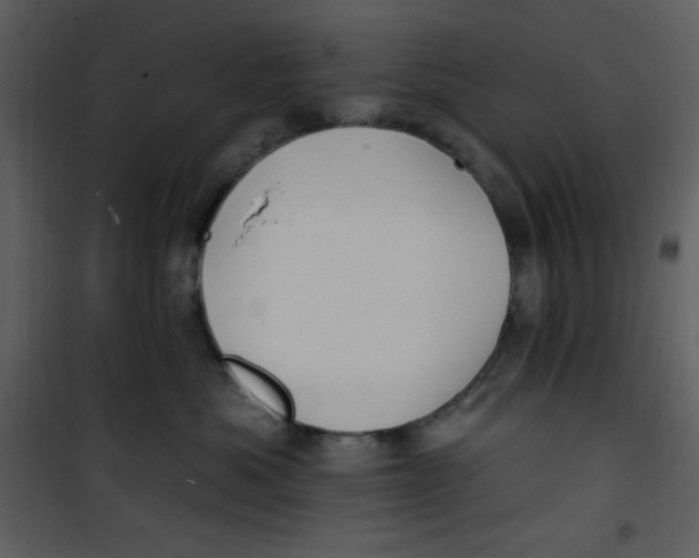 X0000100840525200807180923