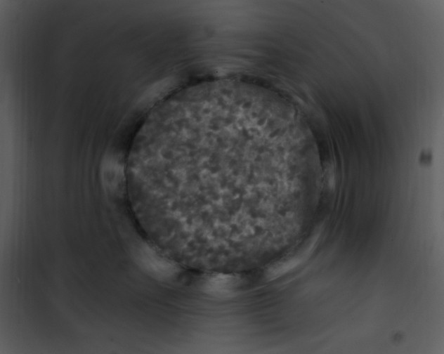 X0000100840527200807180923