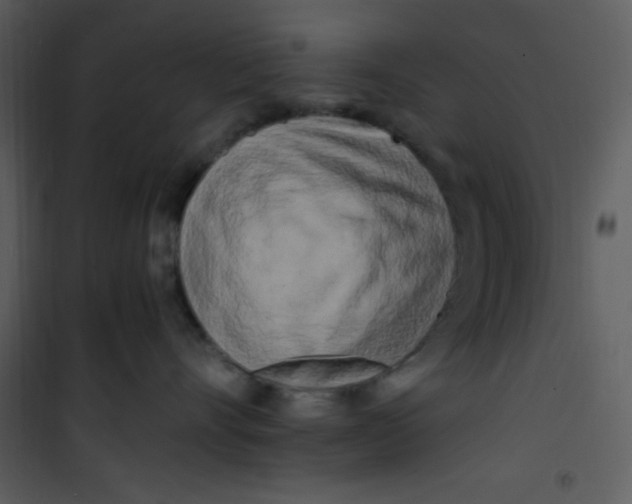 X0000100840528200807180923