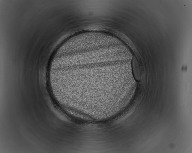 X0000100840530200807180922