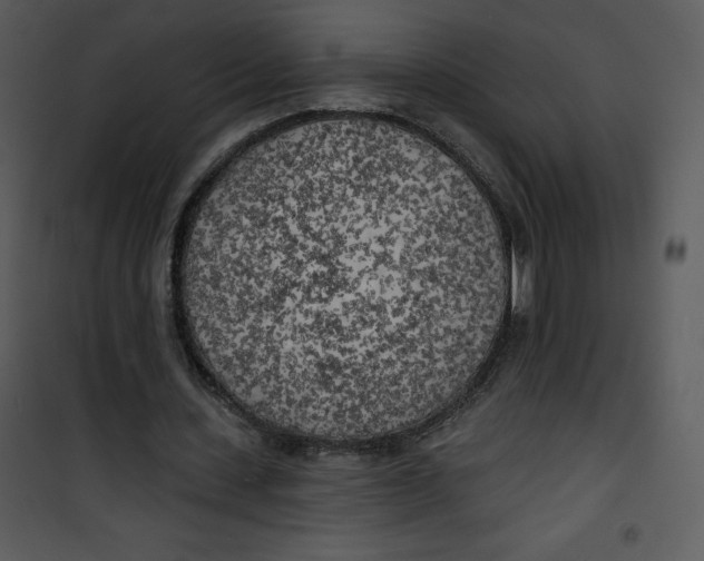 X0000100840531200807180922