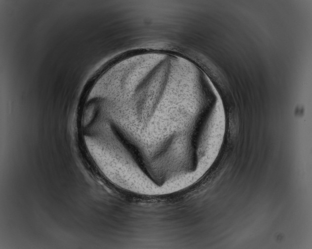 X0000100840532200807180922