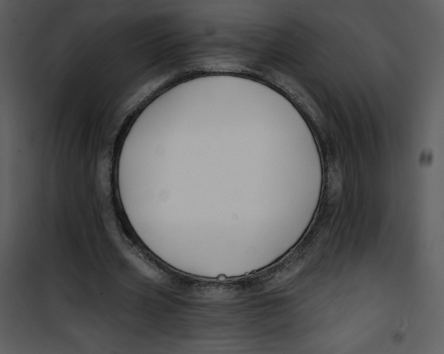 X0000100840533200807180922