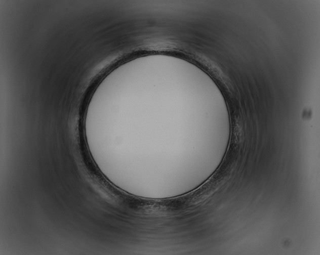 X0000100840535200807180922