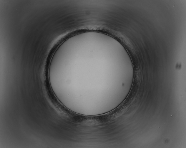 X0000100840536200807180922