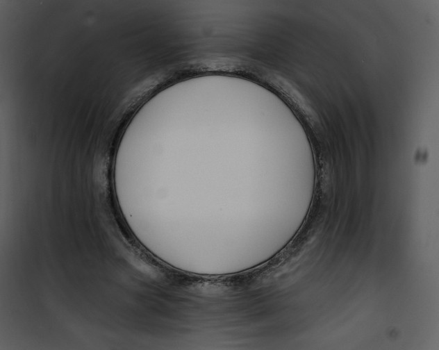 X0000100840537200807180922