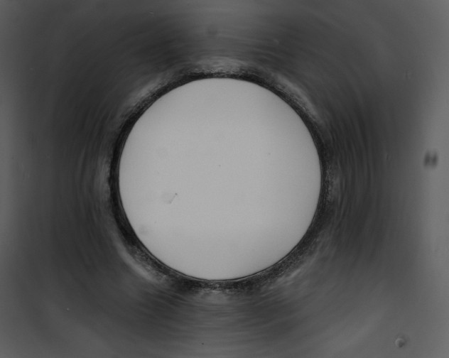 X0000100840538200807180922