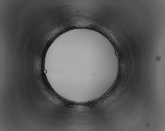 X0000100840539200807180922