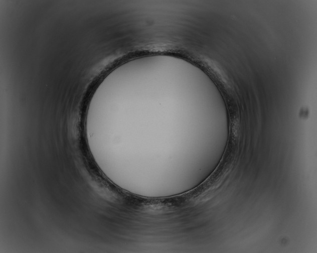 X0000100840540200807180922