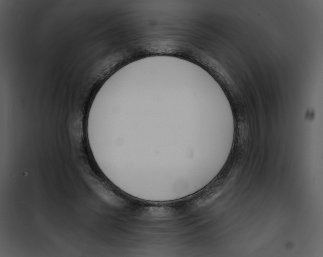 X0000100840541200807180922