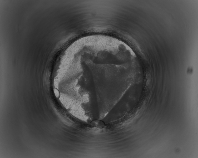 X0000100840542200807180922