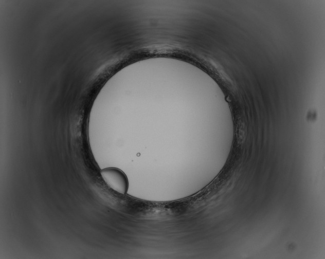 X0000100840543200807180922