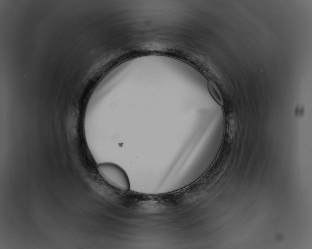 X0000100840544200807180922