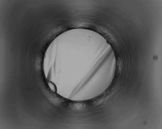 X0000100840546200807180922